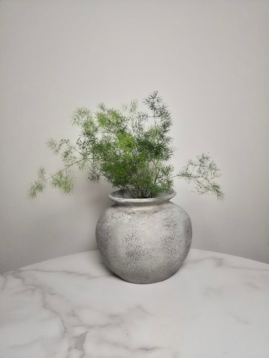 Asparagus Fern in Stone Pot